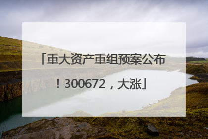 重大资产重组预案公布！300672，大涨